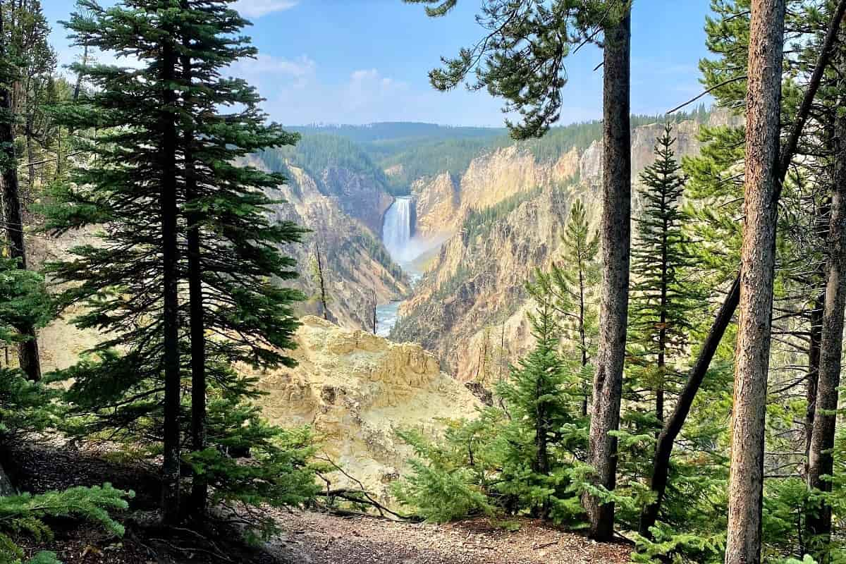 You are currently viewing Denver to Yellowstone National Park road trip