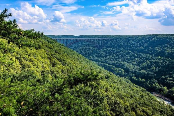 Where to stay near New River Gorge National Park, WV