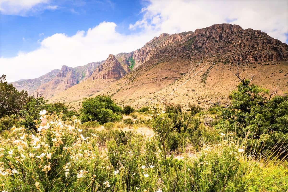 You are currently viewing Where to stay near Guadalupe Mountains National Park, TX