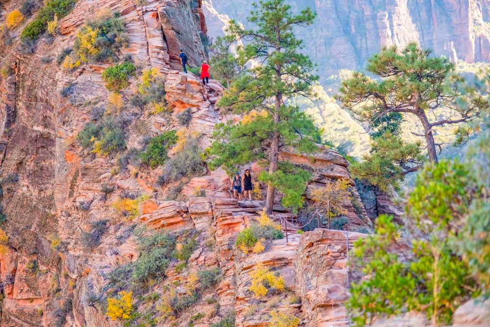 People tackling the narrow, challenging Angels Landing Trail in Zion National Park