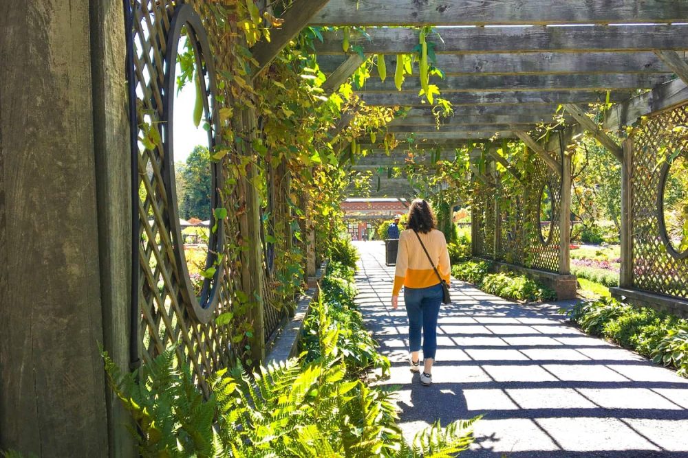 Woman walking through lush pergola in Biltmore Village