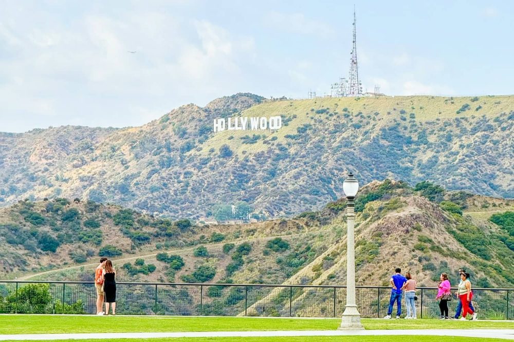 People gazing at the Hollywood Sign from Griffith Park