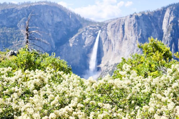 10 best US national parks to visit in spring