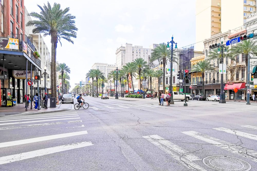 Palm-decorated Canal Street, the borderline between the French Quarter and the CBD
